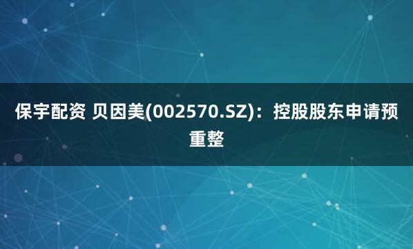 保宇配资 贝因美(002570.SZ)：控股股东申请预重整